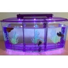 Betta Tank 3 in 1