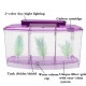 Betta Tank 3 in 1