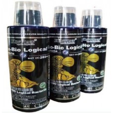 Kintons Eco-Bio Logical Bacteria