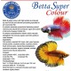 Betta Super Colour