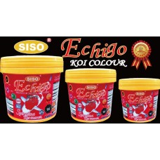 Echigo Spirulina Koi Colour