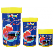 Betta X-treme Colour