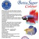 Betta X-treme Colour
