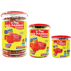 Red Parrot Colour