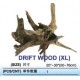 Drift Wood (XL)