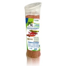 Marvelous Dragon Specialist's Arowana Stick (300g) - Mini