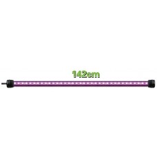 KT LED 143 Single/Double